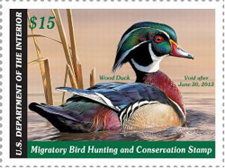 Federal Duck Stamp 2012