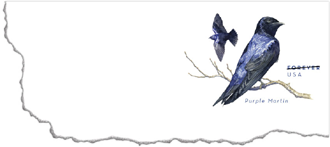 Purle Marting stamped envelope