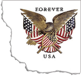 Folk Art Eagle Stamp, 2013