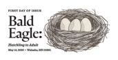 USPS, Bald Eagle Stamp cancel Bald Eagle cancel, USPS
