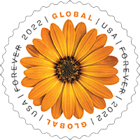 USPS - African Daisy Global Forever Stamp, 2022 USPS - African Daisy Global Forever Rate Stamp