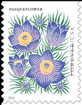 Mountain Flora Postage Stamp, 2022 USPS - Mountain Flora Stamp, 2022