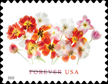 Tulip Forever Stamp, 2022 USPS - Tulip Forever Stamp, 2022