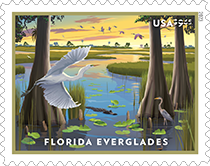 Florida Everglades $9.95 Priority Mail Stamp
 USPS - Florida Everglades Priority Mail Stamp, 2023