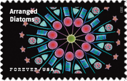 Life Magnified Forever Stamp, 2023 USPS - Life Magnified Forever Stamp, 2023