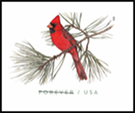 Northern Cardinal Stamped Envelope, 2023 USPS - Northnern Cardinal Stamped Envelope, 2023
