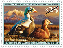 USPS, U. S. Flag Forever Stamp, 2025