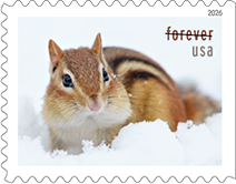 USPS - Squirrels and  Chipmunks Forever Stamps, 2026